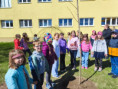 Na školní zahradě zapustil kořeny strom Pohádkovník